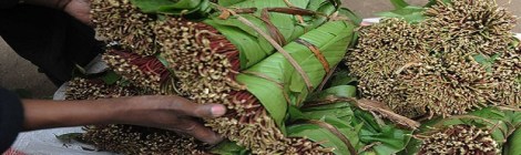 Khat ban