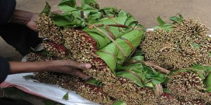 Khat ban